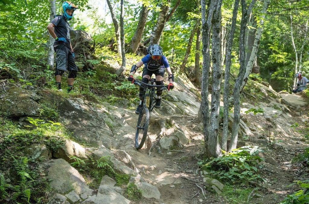 Riding Fundamentals Video Series | Highland Camps
