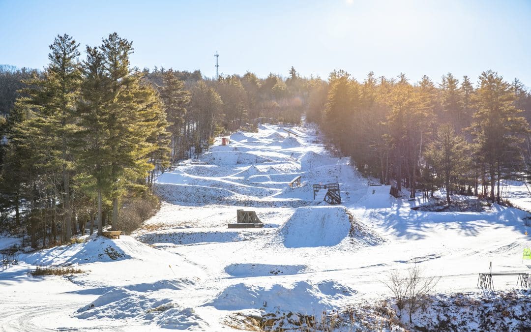 Park Report | January 2021