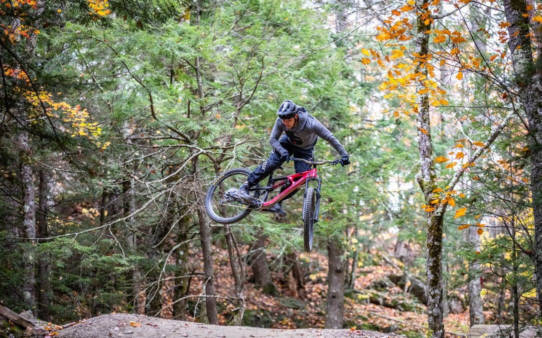 Park Report | November 2021