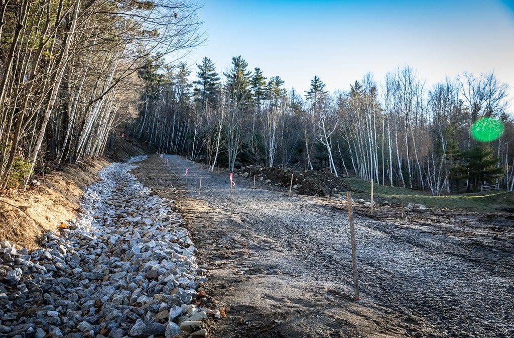 Park Report | December 2021