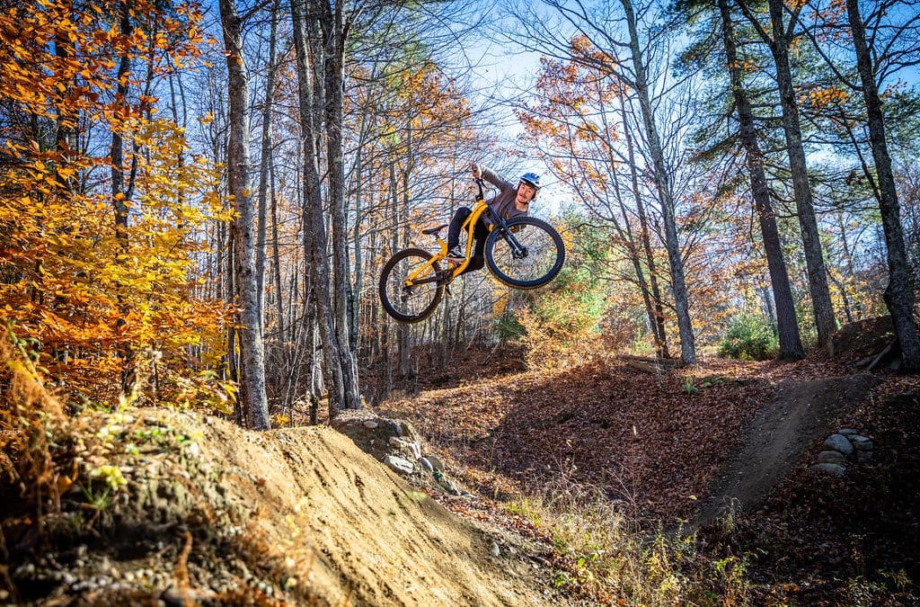 Park Report | November 2022